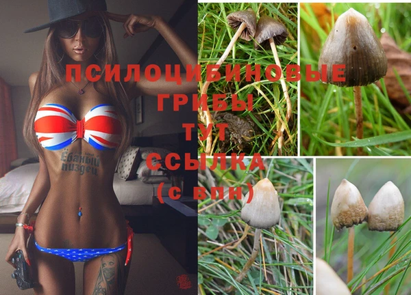 таблы Вяземский