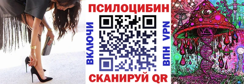 купить  цена  Десногорск  Галлюциногенные грибы GOLDEN TEACHER 